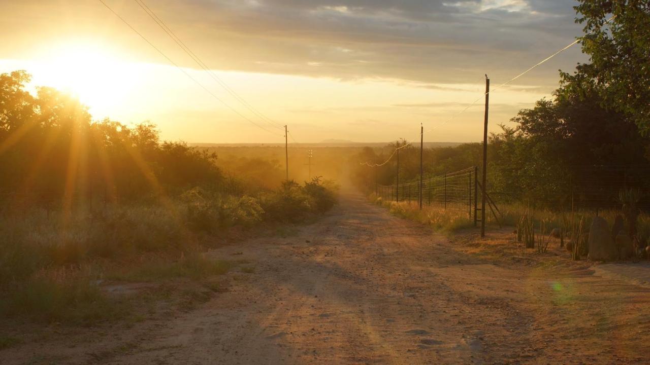 Bushvilla Umoja Kruger ファラボルワ エクステリア 写真