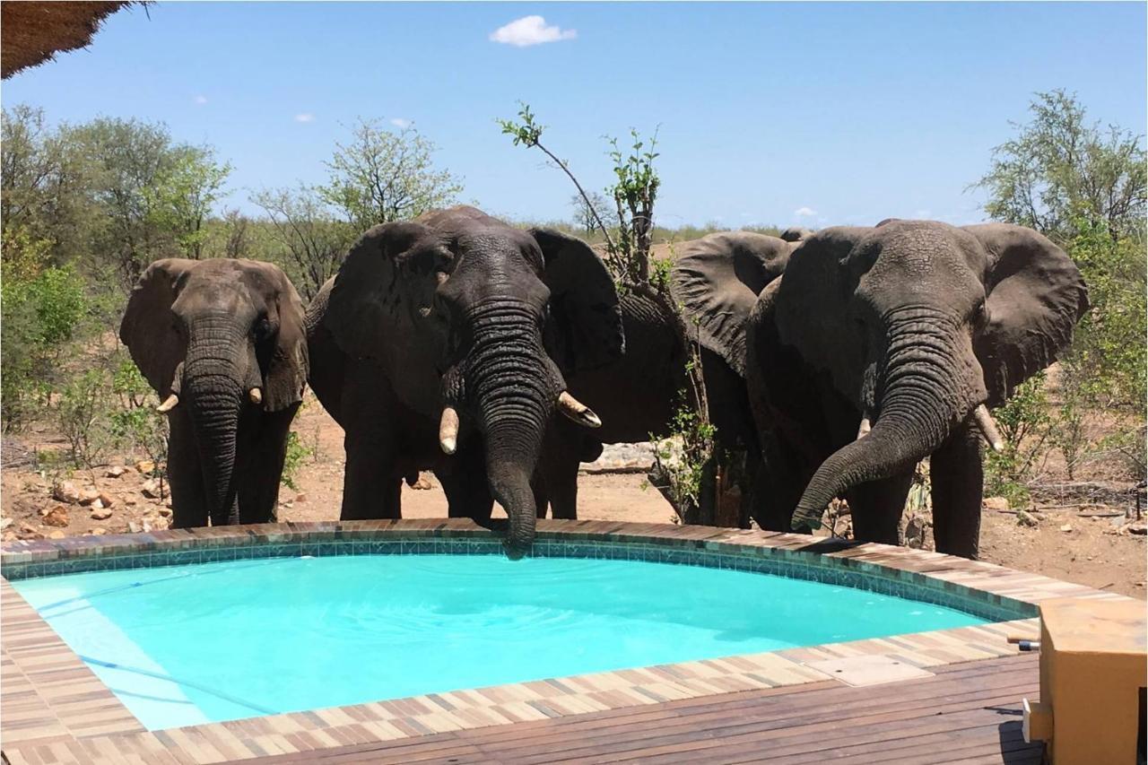 Bushvilla Umoja Kruger ファラボルワ エクステリア 写真
